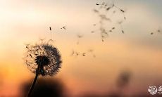 查询2023年农历三月凶日破日的详细列表