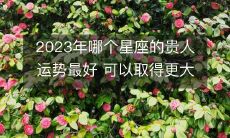 探究2023年哪个星座将获得贵人运势顶峰，成就更大成功的可能性最高？