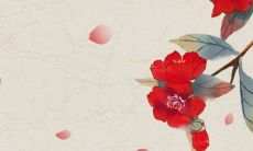 根据八字学理论,96年属猴和86年属虎的八字合婚指数并不高