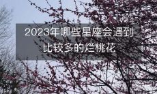 预测2023年烂桃花较多的星座是哪些？
