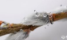 2023年农历正月中有哪些凶日和破日需要进行查询？