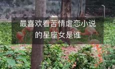 哪个星座的女生最爱沉溺于苦情虐恋小说之中？