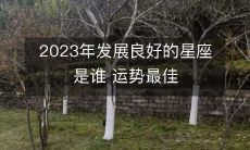 预测2023年哪个星座将表现出色并拥有最佳运势