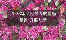 、财运亨通,2023年哪个星座将经历最大的变革?