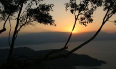 下巴呈短而圆形的男性面相是否拥有福泽降临?