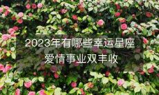 展望2023年，哪些星座将迎来幸运之星，爱情事业双丰收？