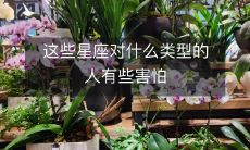 哪些人的性格特点会让这些星座感到惊恐不安?