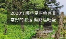 2023年以偏财运旺盛为主要特征的星座中，哪些将会呈现出非常亮眼的财运表现？