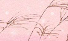 究竟是什么特质让丈母娘不禁倾心于天秤男?揭示背后的原因与心理思考!