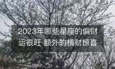2023年,哪些星座的财富运势非常旺盛,额外参与横财有惊喜?
