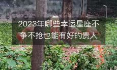 2023年,有哪些幸运星座不需争夺,也可享受到拥有贵人助力的好运?