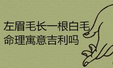 一根白色长在左眉毛上的毛发，是否在命理学中被视为吉利的象征？