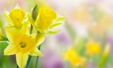 经典星座解析:探究太阳在白羊、月亮在双子的人的性格特点、优缺点