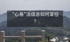 如何有效掌控“心易”法（防止信息被误用或滥用）？