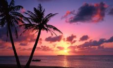 男属猪女属虎的八字是否能相合,如何让感情持久甜蜜,两人该如何相处并取得融洽的关系?