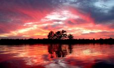 从八字学角度看,属虎女和属羊男的配对是非常合适的匹配