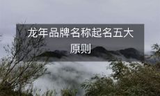 在龙年创建品牌名称时的五大重要准则,你需要了解!