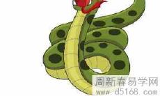 未来五年属蛇的人运势和运程将如何发展，详细探究！