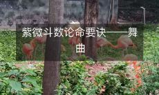 舞曲中的紫微斗数论命要诀:探寻命运趋势的秘密!