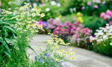 的正确方式:如何在兔年本命年感冒期间恰当地发朋友圈以表达自己的情绪和状态?