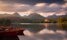 为何这些星座会在情感中出轨?探究背后的原因及影响