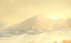 据统计,一年内有多少个情人节?