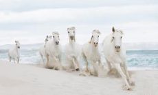 90年出生的属马人士，适合住在哪一层楼？从财运、事业、健康等多个角度分析，找到最适合属马运势的住房楼层