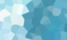 细致周到的指南：如何为十二星座的爱人定制一份完美的情人节花束礼物？