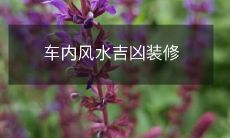 如何在车内进行风水布局装修,提高幸福指数及避免不吉之气的影响?