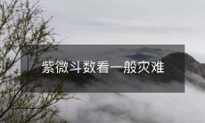 紫微斗数如何预测和应对一般灾难:探寻神秘技艺的应用与实用价值