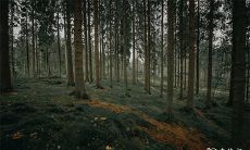 本命年是否会让人身体更容易患病,以发烧为例,真的存在相关预示吗?