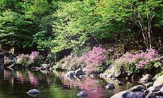 客厅沙发的摆放和布局在风水中的重要性及相关原则探讨