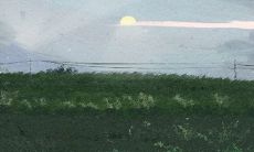 有哪些有效的方法可以让十二星座避免减肥反弹呢？