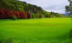 什么星座的人是最忠诚的朋友？在十二星座中，哪些星座与你成为朋友将永远不会背叛你？