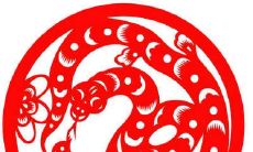 根据属蛇的人的特点，哪种款式的项链最适合他们佩戴？是否适合戴项链？