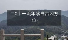 二0一一年度紫白星位及其吉凶影响方向分析