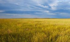 在农历正月初十是否适宜修剪发型?对剪发的注意事项有哪些?