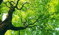 哪些星座将成为房奴？探究十二星座中难抵房贷压力的星座