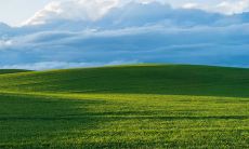 正月初十神仙生日是哪位?大年初十的庆祝风俗和文化习俗是什么?