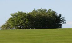 农历正月初九的神仙生日是谁？在祭拜他时需要注意哪些忌讳？