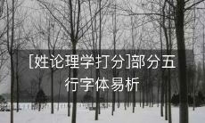 一个更长的标题可能是：姓氏论理学打分——深入分析五种字体的难点与易错之处