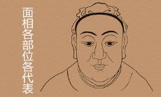 详解面相各个部位的含义，全面掌握麻衣神相口诀大全