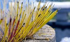 2022年24节气时间表:详细对照阴历、阳历框架