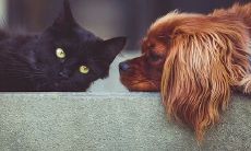 哪个星座常常不爱运动,稍微活动一下就快要累垮了: 探寻十二星座身体素质最差的那一个