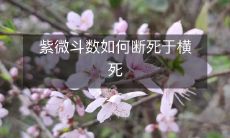 紫微斗数的指导如何帮助你预测横死的命运并采取措施避免这种可怕的命运?