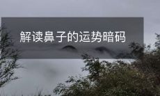 探究鼻子在命运中的藏括密语:揭秘鼻相对运势的解读奥秘