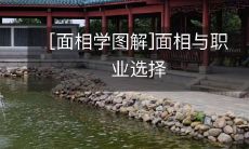 用面相学图解排除盲点：如何通过面相分析选择适合自己的职业？