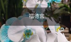 ——南京市最古老的道教庙宇，历经风雨沧桑，见证百年文化荣光的福德宫