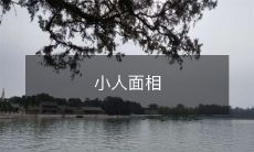 不同的特征及其意义：从眉毛到嘴型，揭秘小人面相学中的奥秘