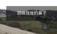 孤零零耸立天际的鼻子